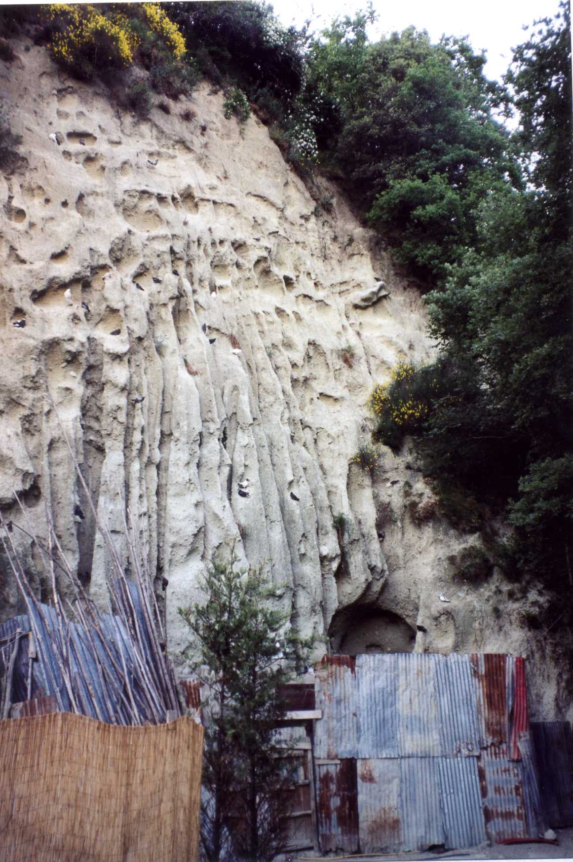 cellaio rurale