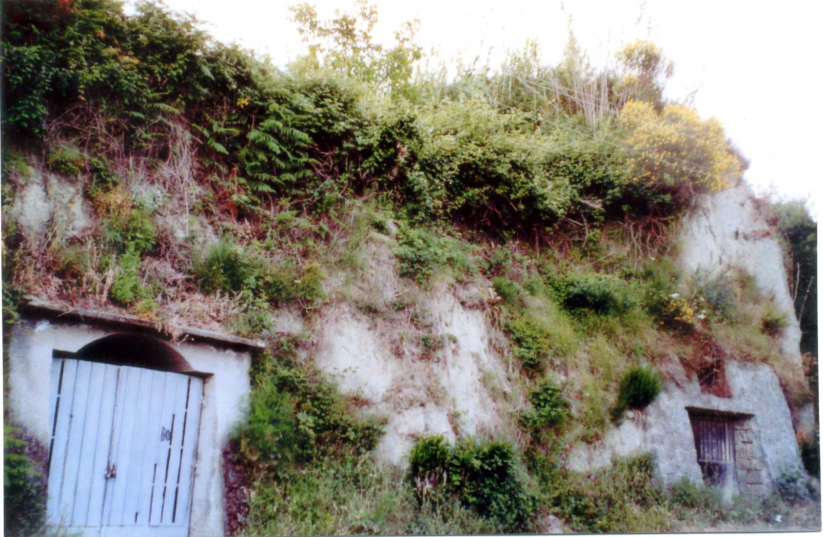 rimessa cellaio rurale