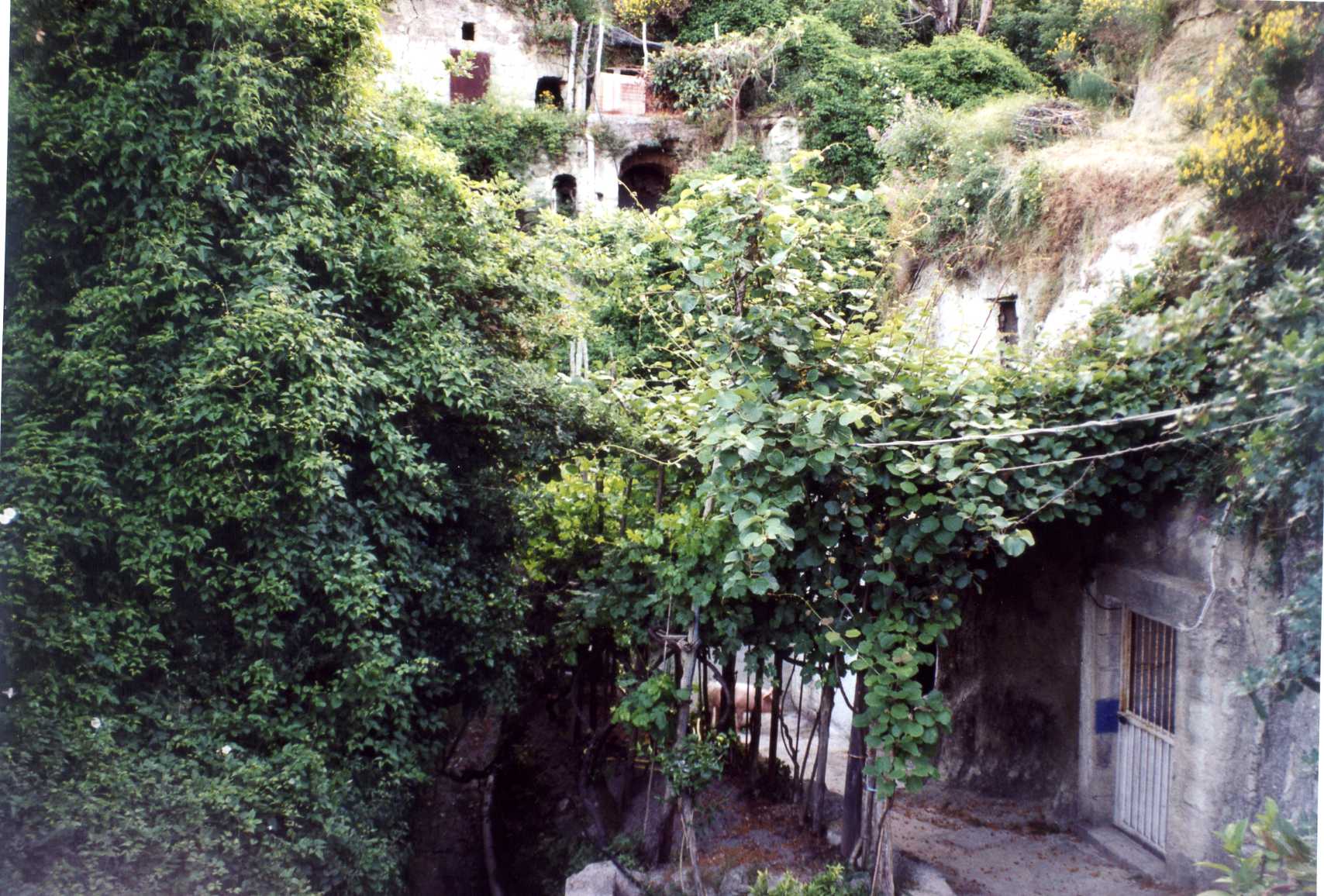 rurale