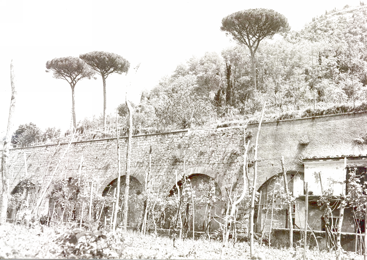 Convento dei Cappuccini. Giardino