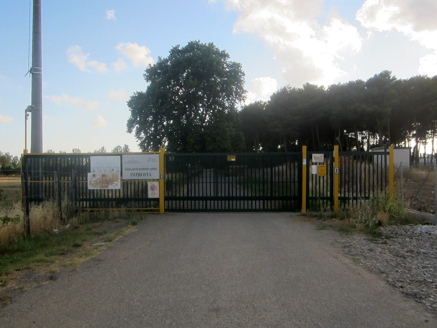 Azienda agricola Improsta