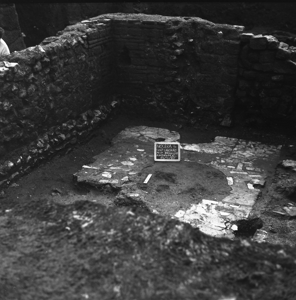 domus, struttura abitativa