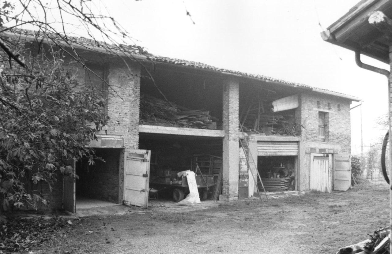 C. Gorgo