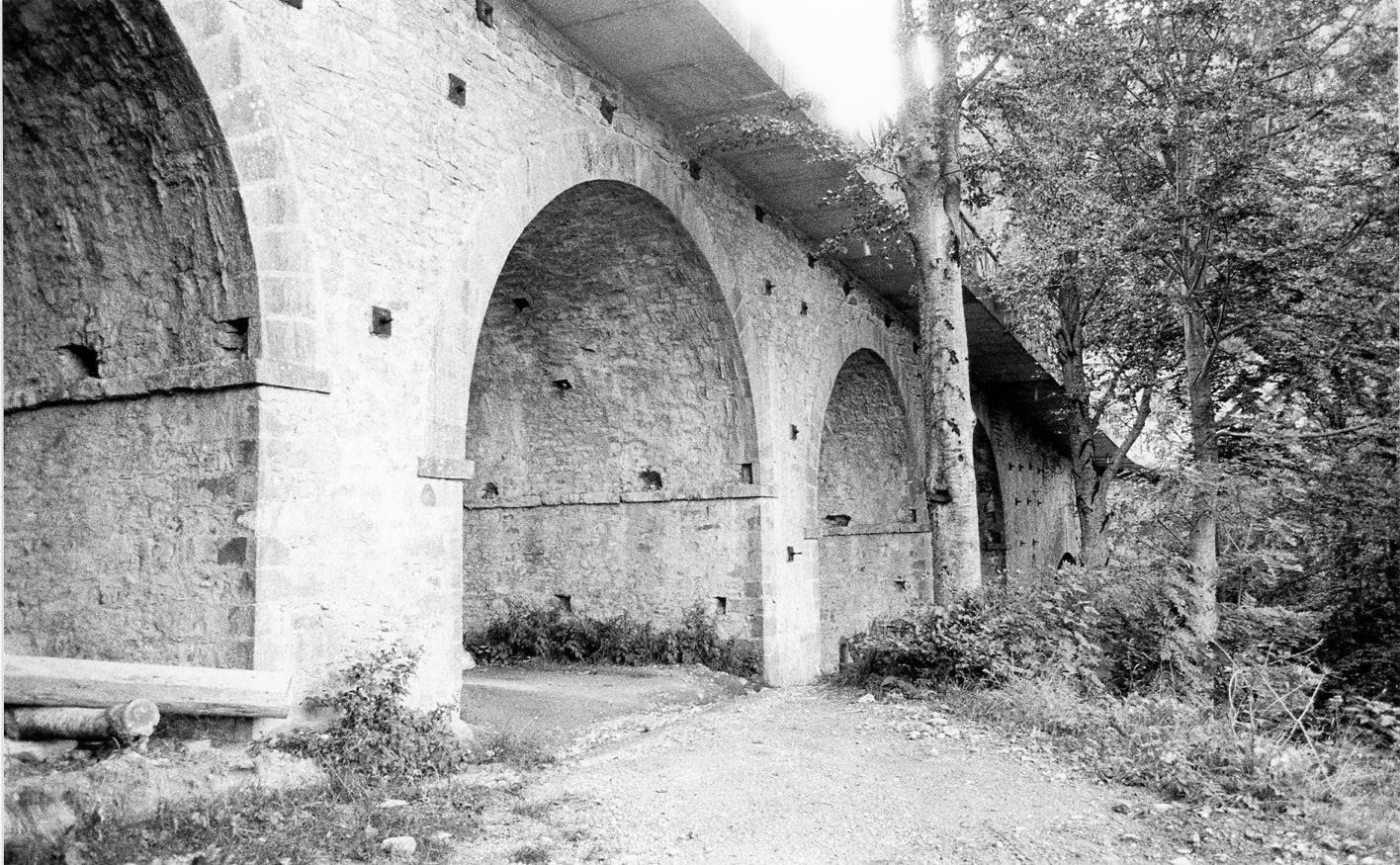 Ponte Picchiasassi