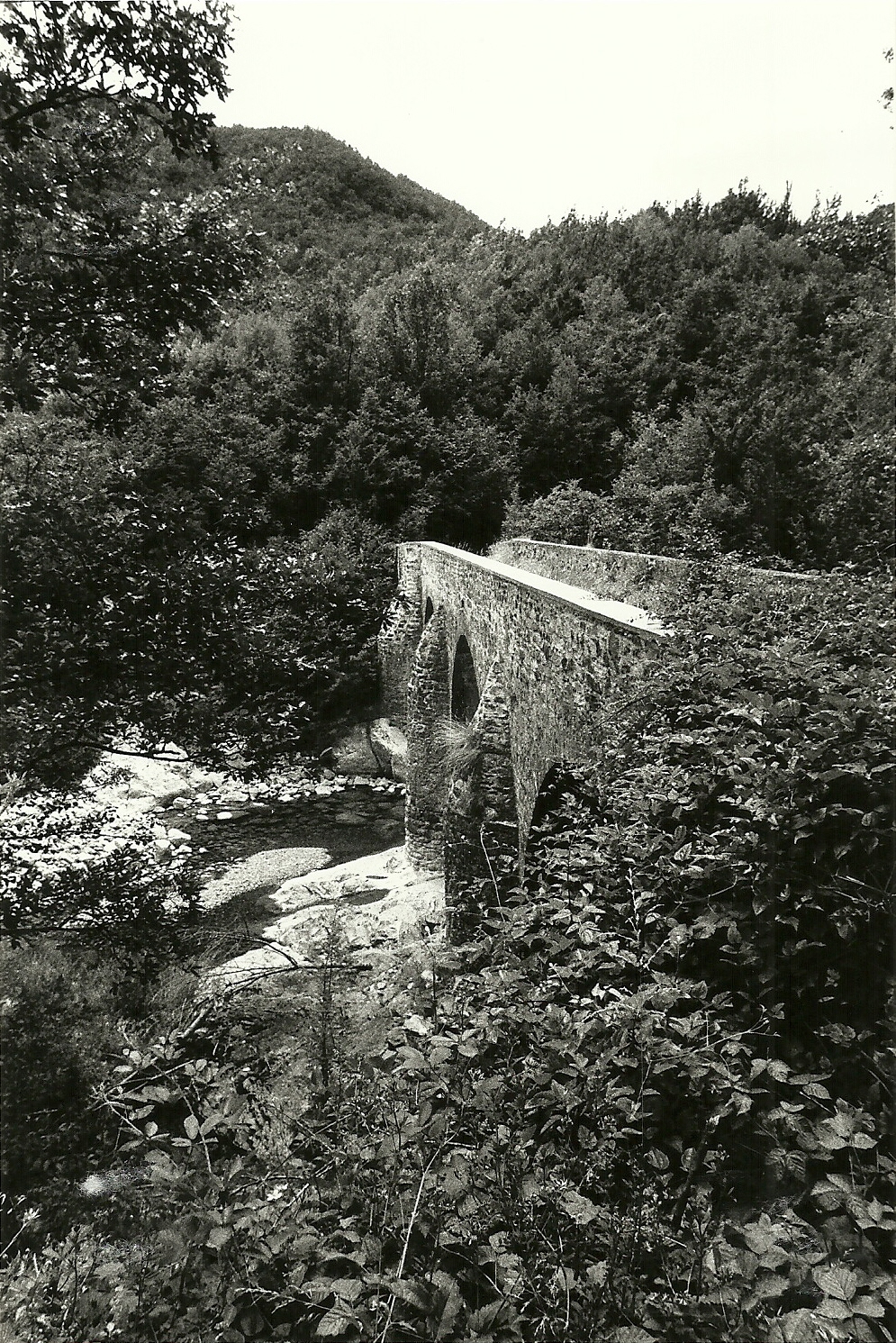 Ponte Maria Luigia