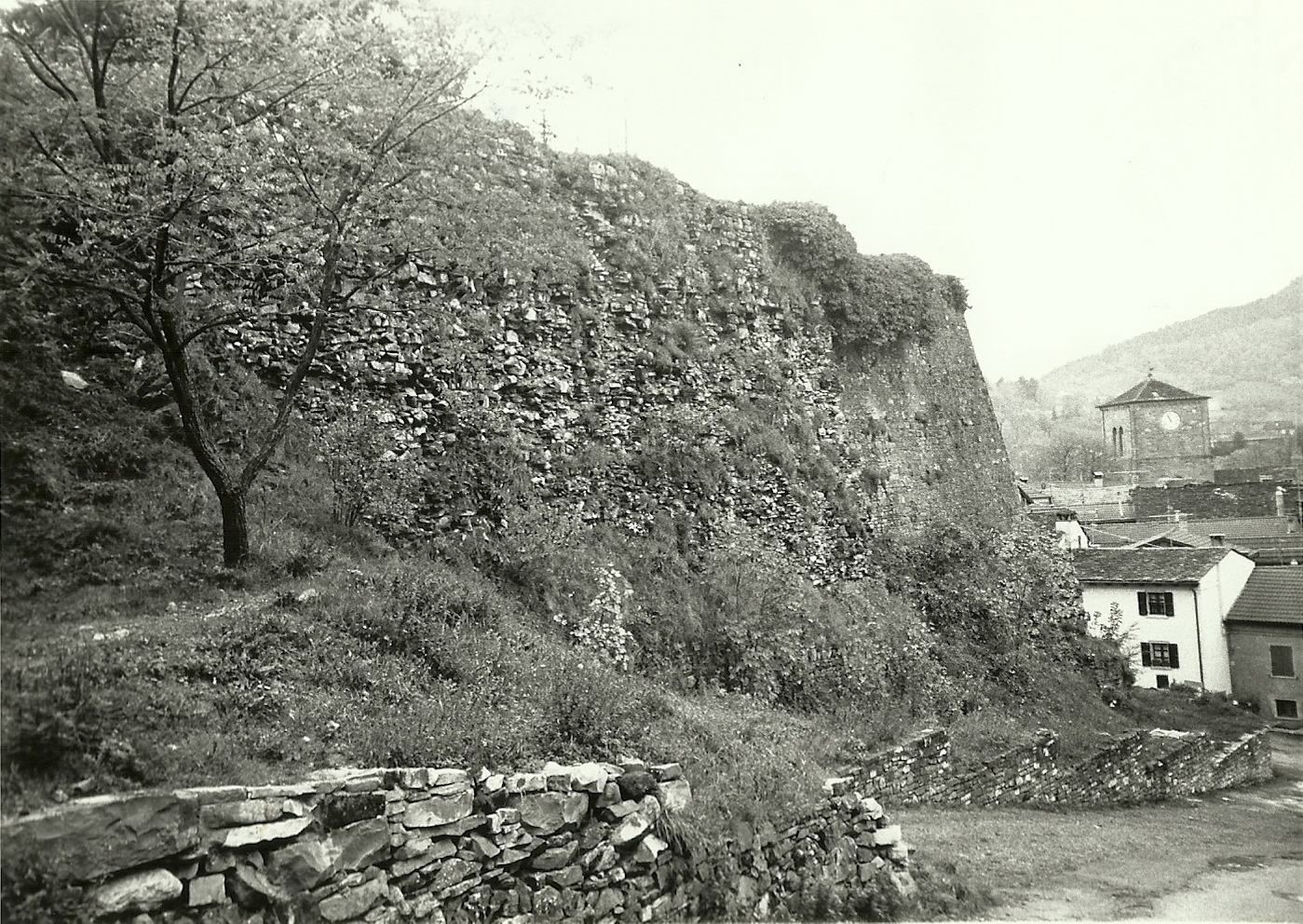 Avanzi del Castello di Berceto