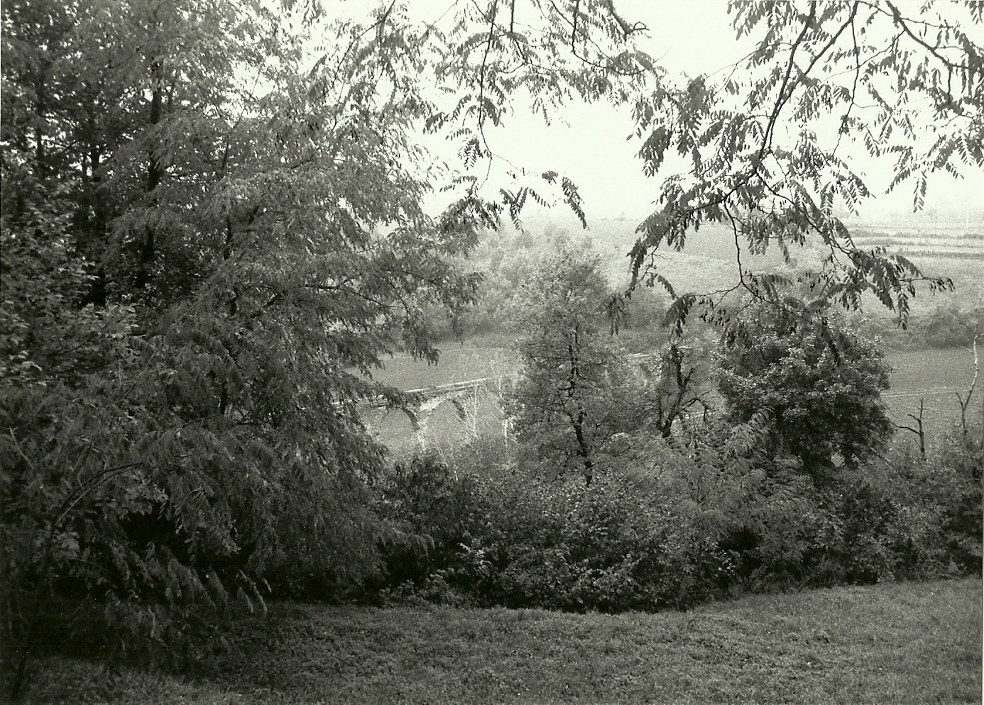 resti dell'acquedotto del Castellaro