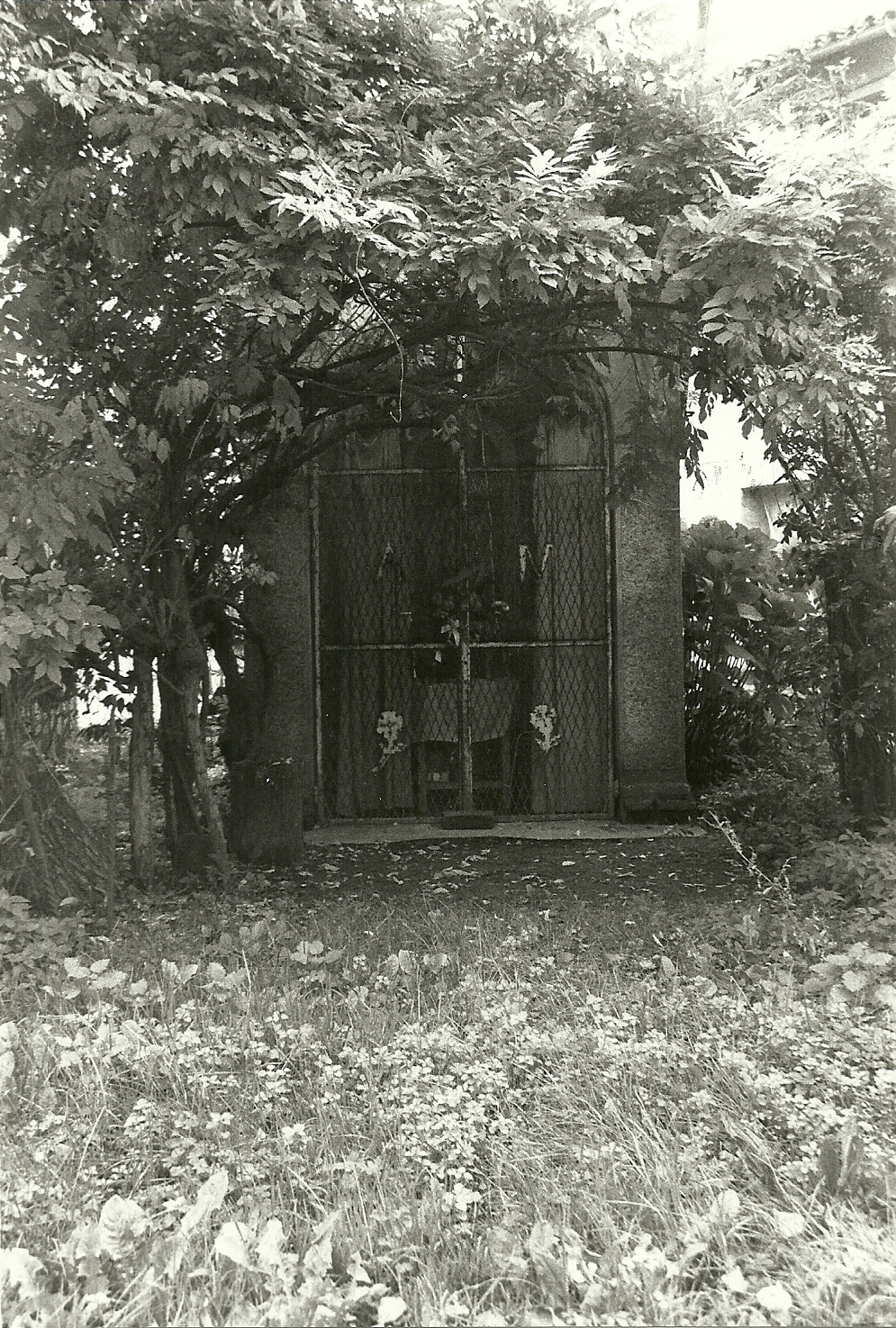 Immacolata Concezione