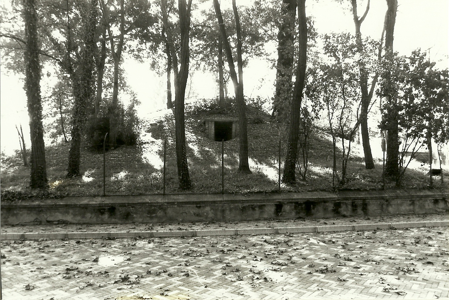 Ghiacciaia della Rocca
