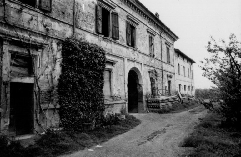 Bove d'oro