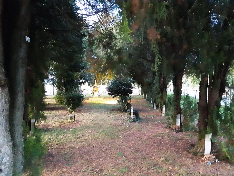 GIARDINO DELLA RIMEMBRANZA DI RONCALCECI