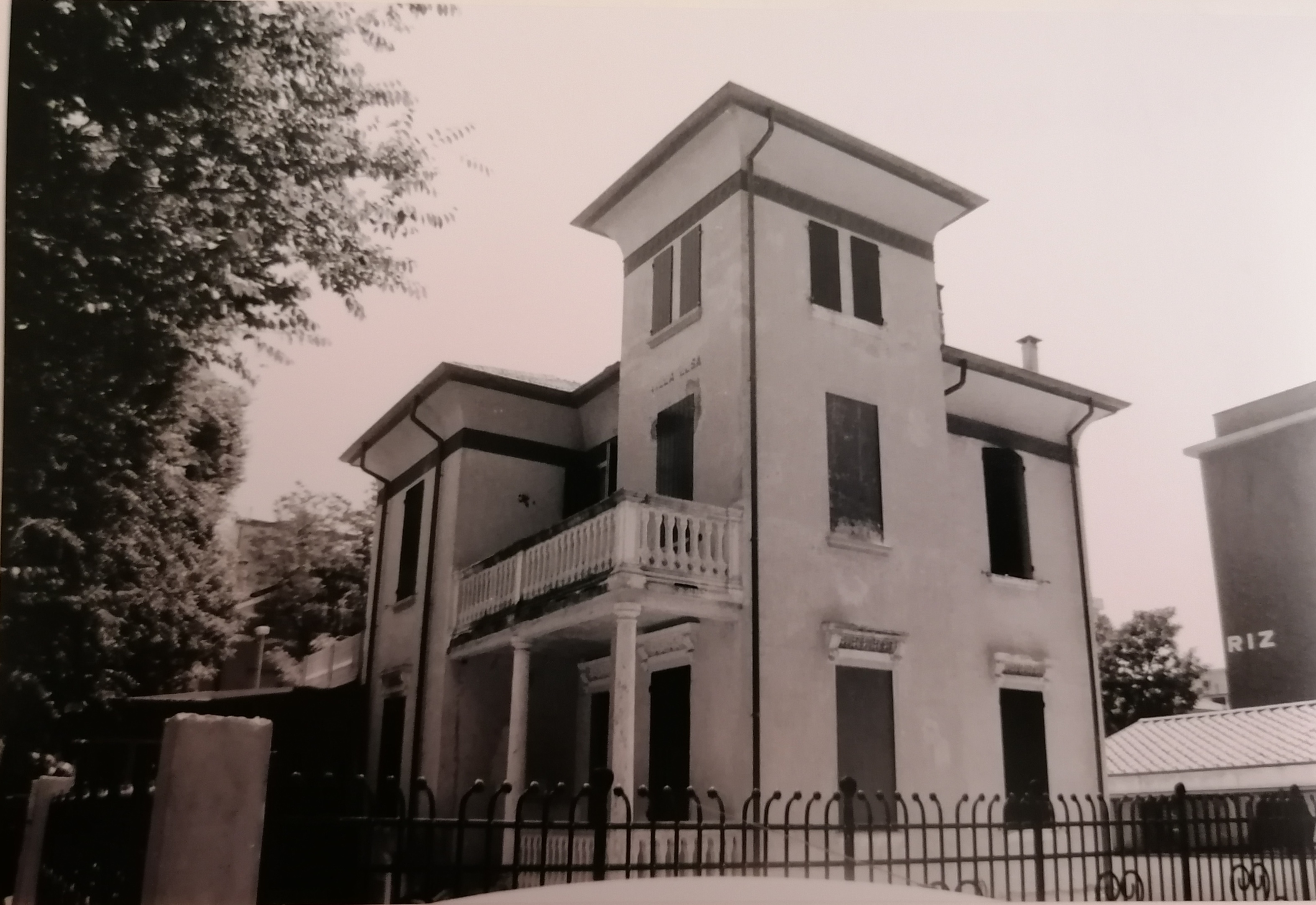 Vilino Elsa