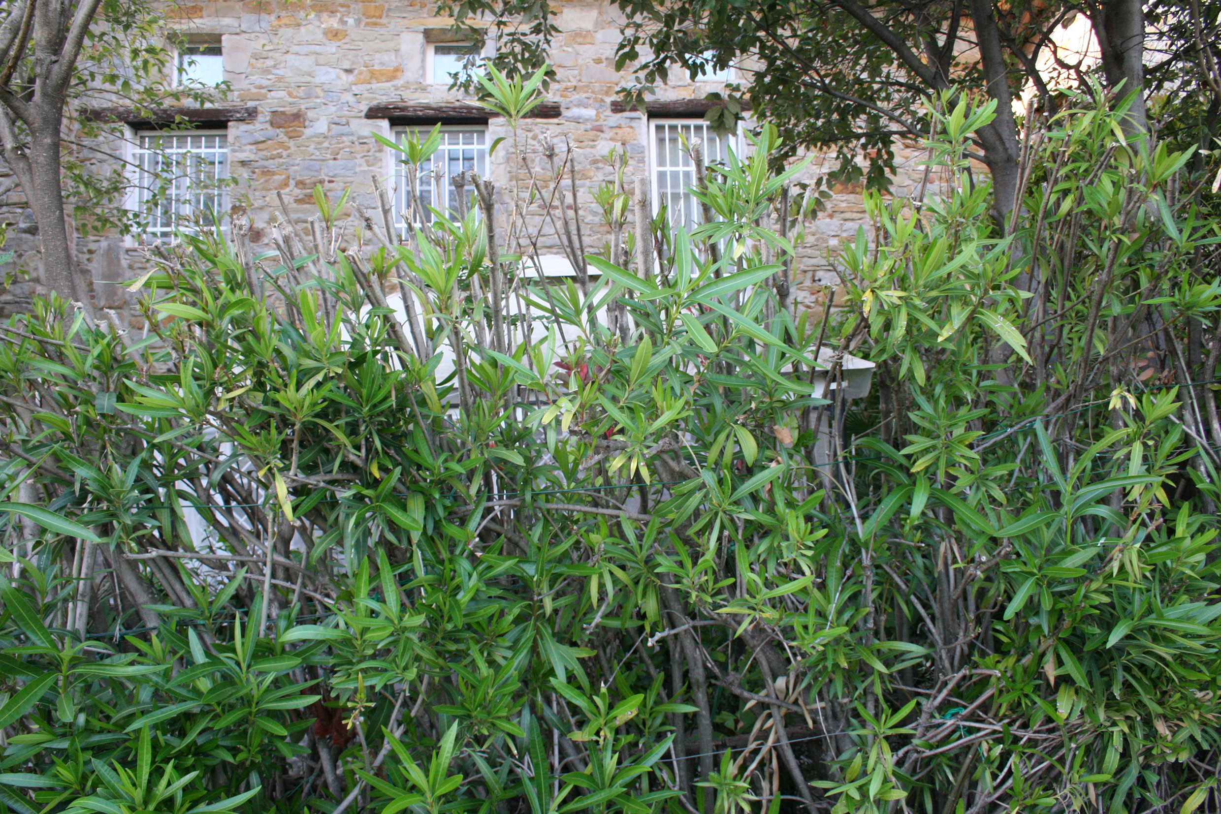 casa rurale