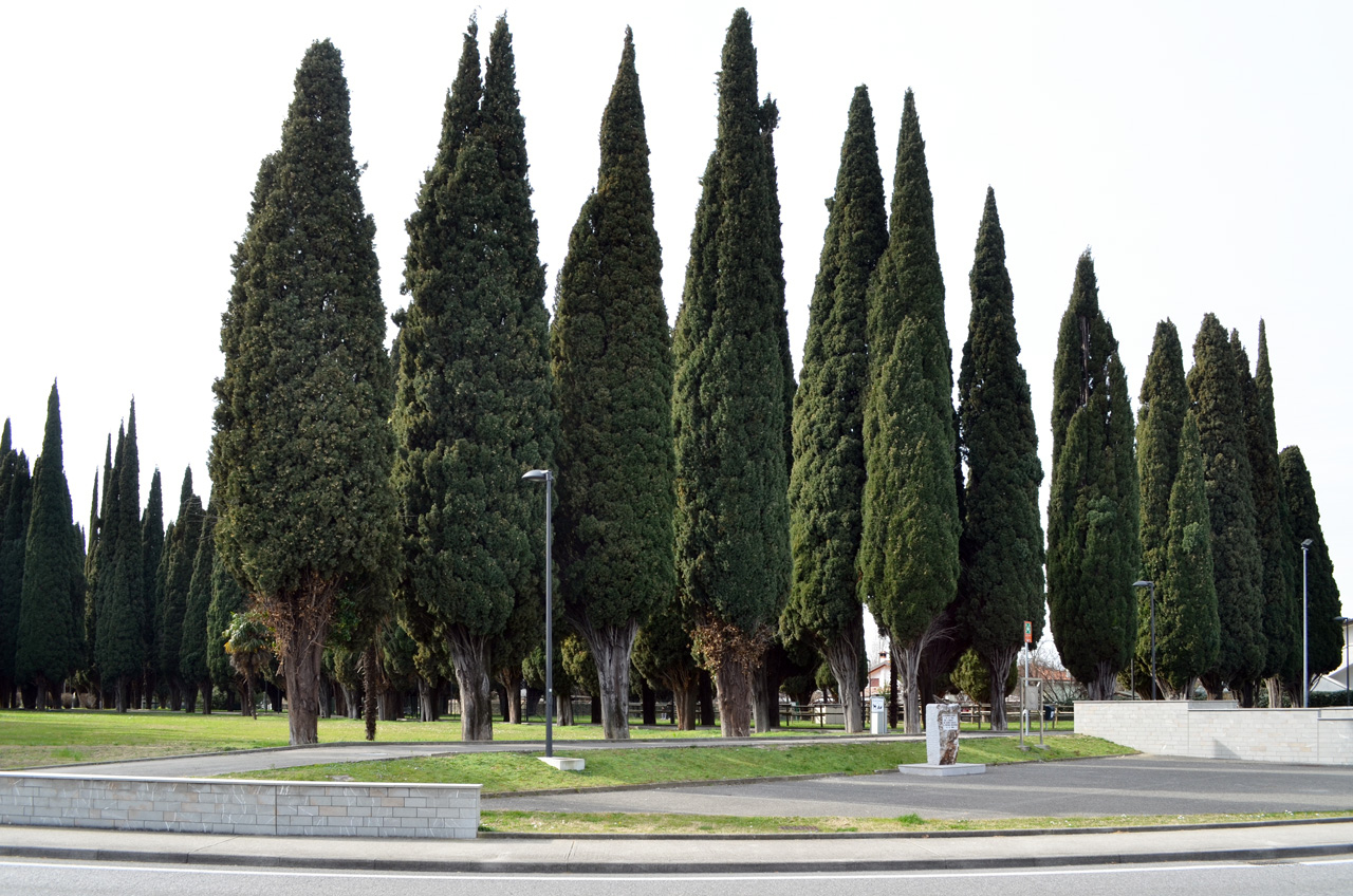 Parco della Rimembranza di Monfalcone , Cimitero di Monfalcone