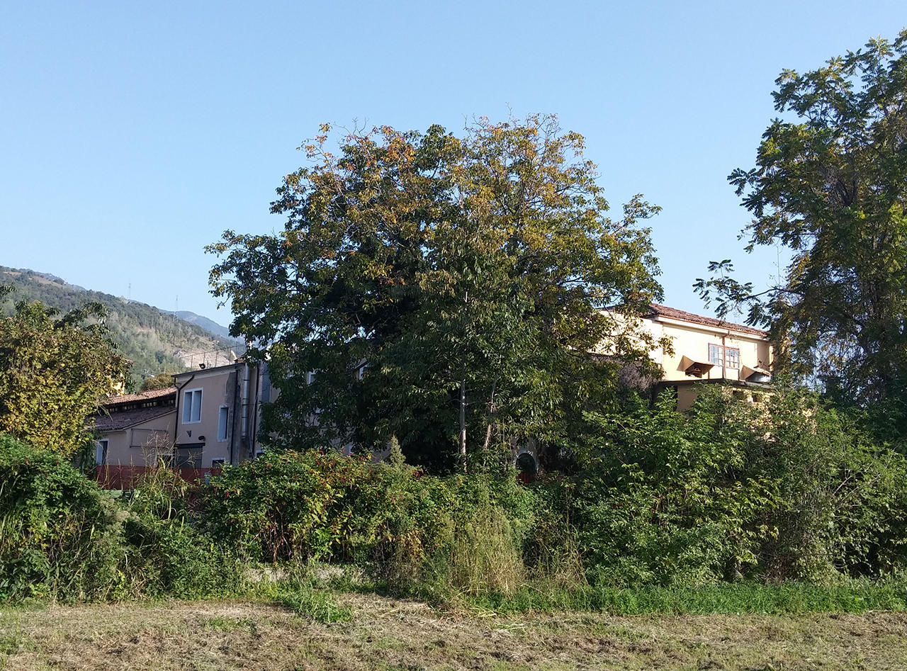 Complesso padronale ex Filanda De Marchi, Frova