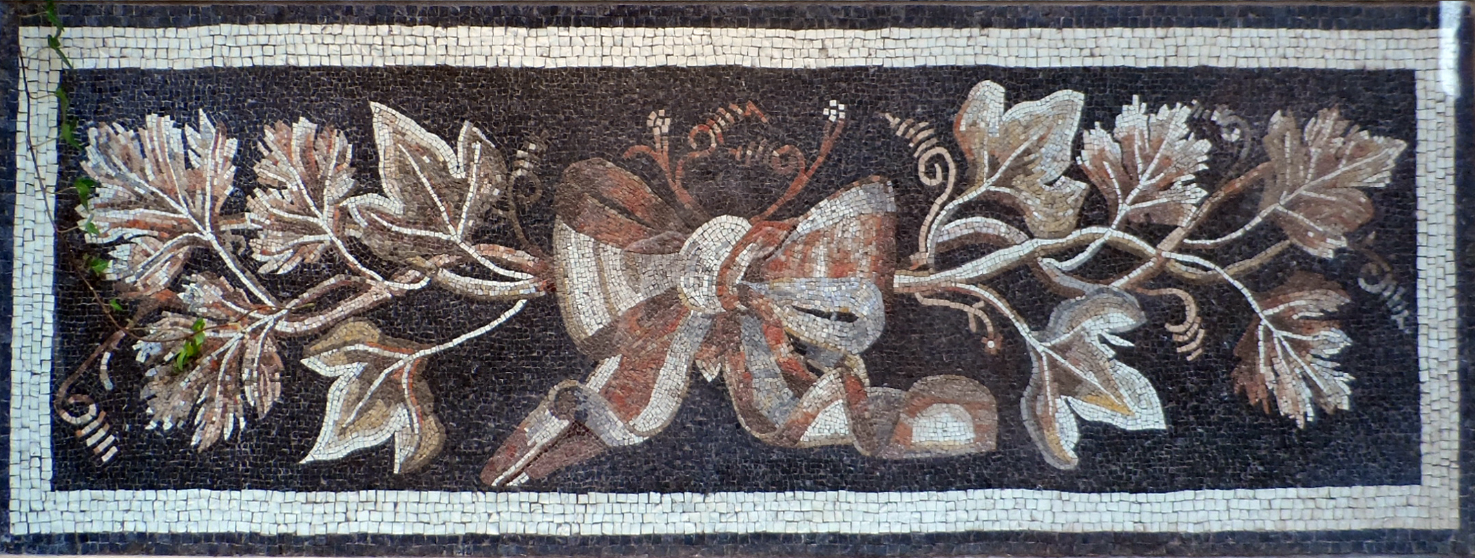 Casa del Tralcio di Vite con Fiocco
