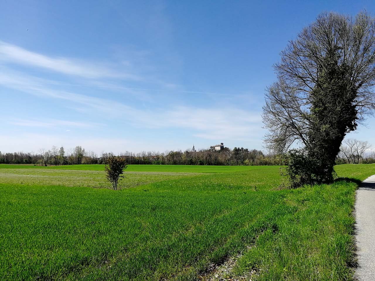 Altura su cui sorge il castello di Villalta