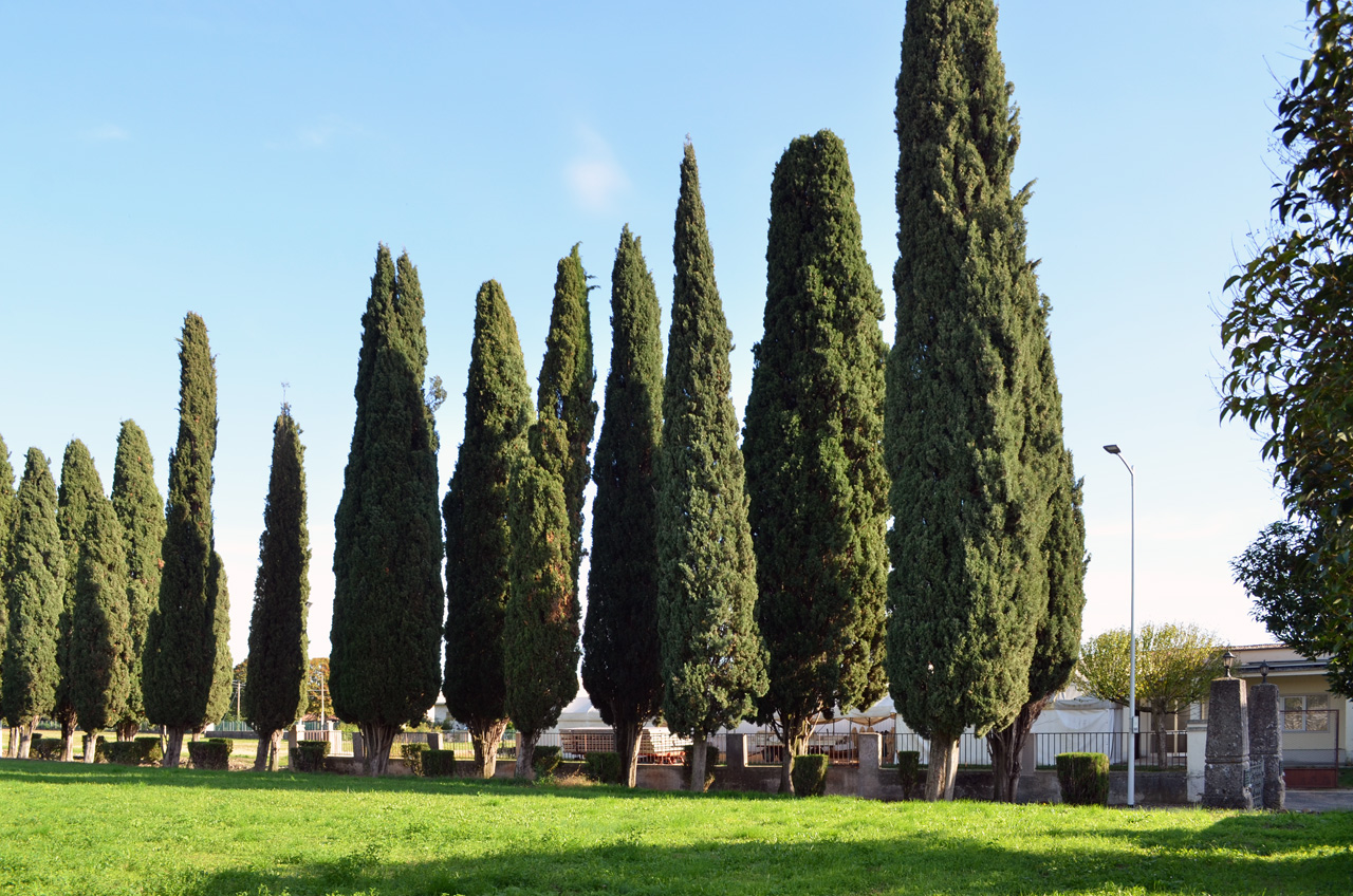 Viale della Rimembranza di Mereto di Tomba