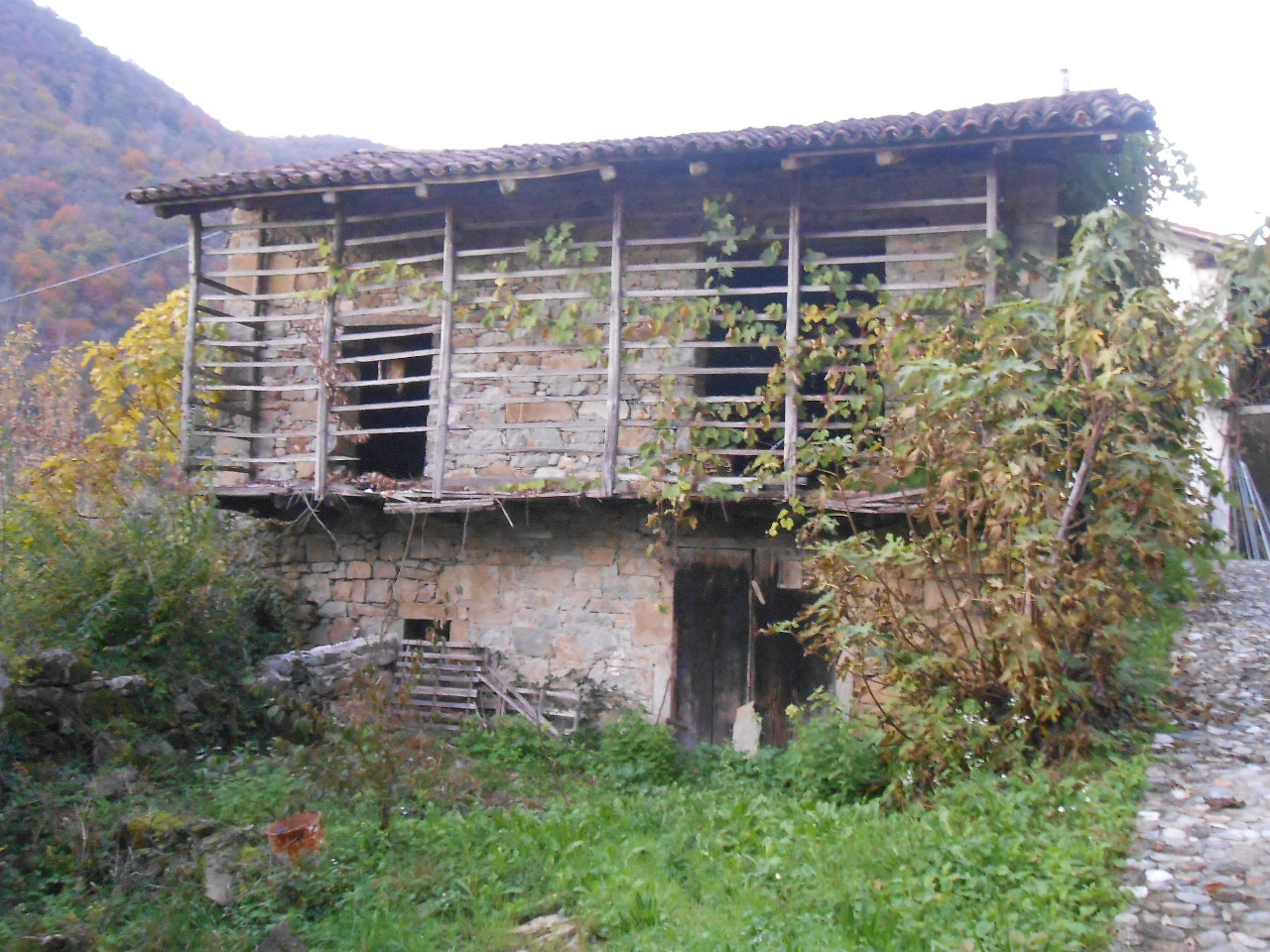 Kasta