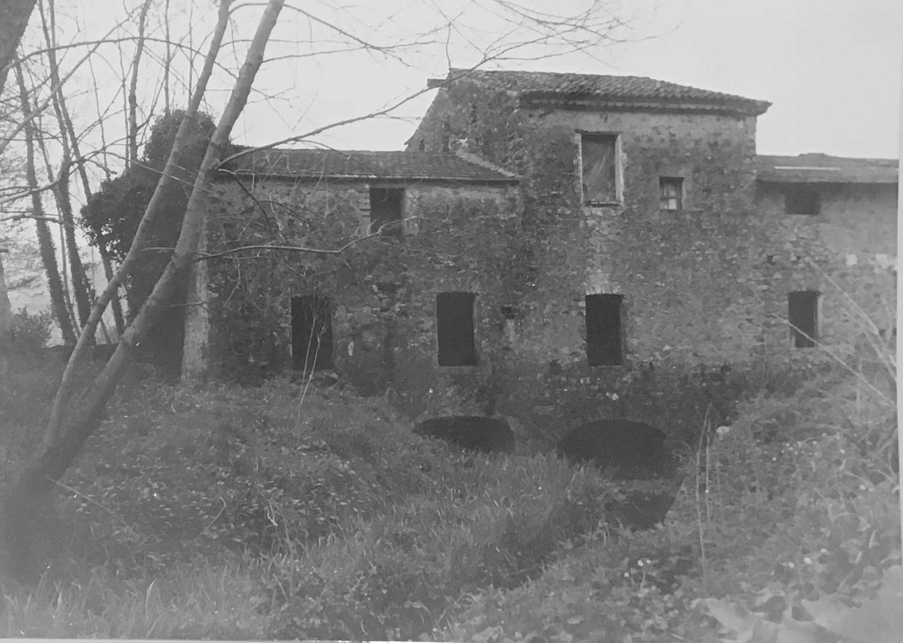 Mola Bosco d'Aprile