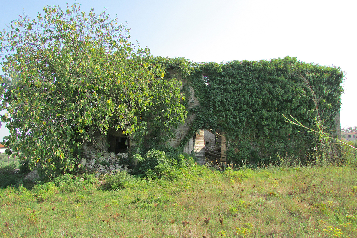 Casale Selviata