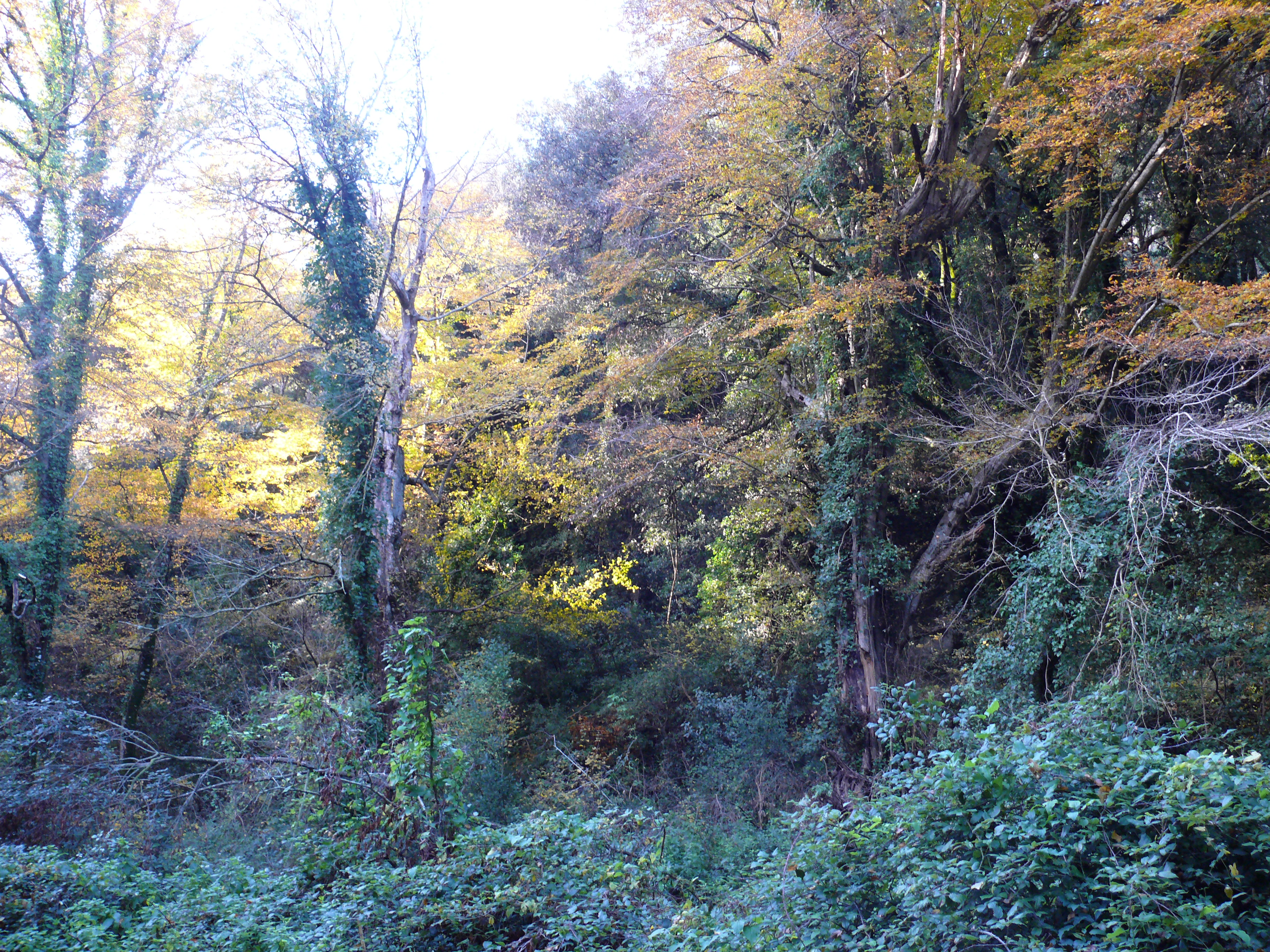 Parco della Rimembranza di Marino , Barco Colonna