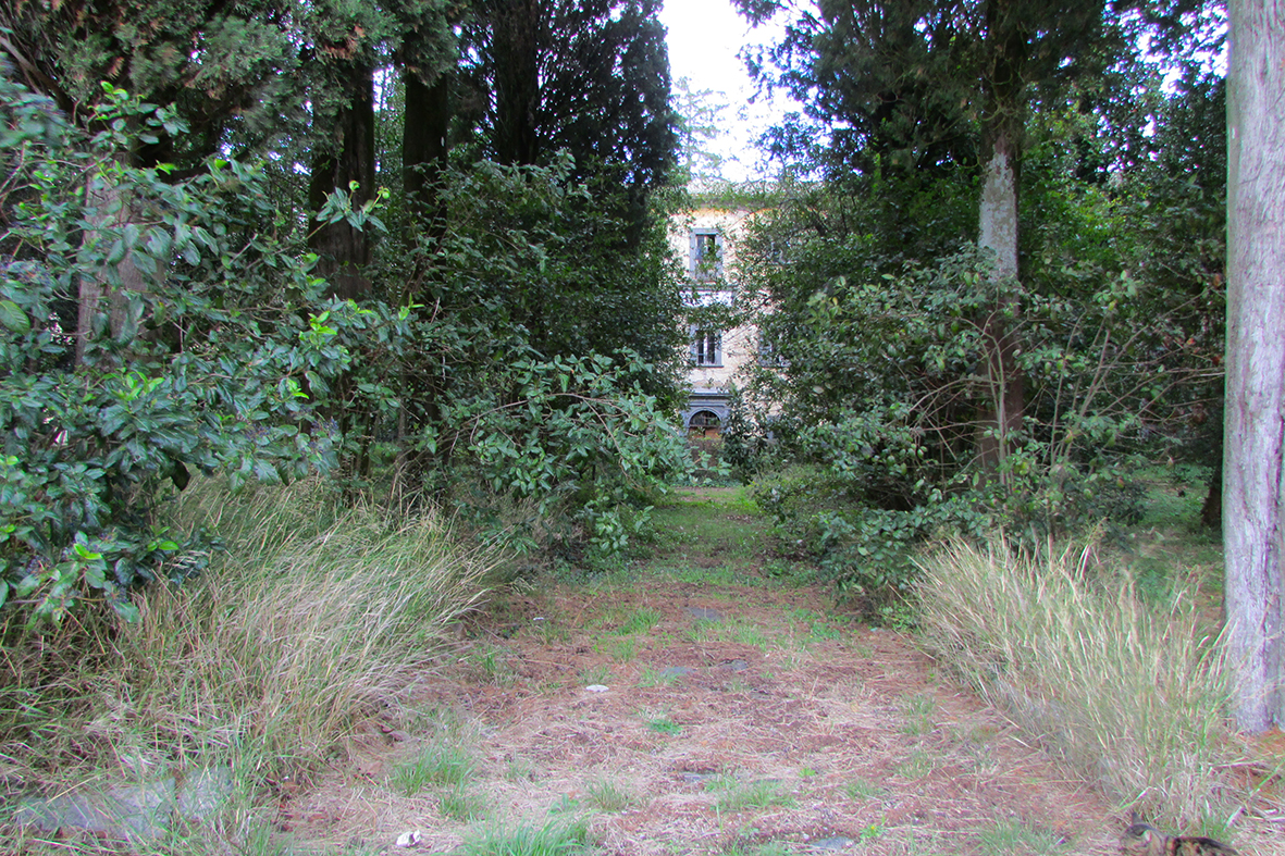Parco di villa Agosti