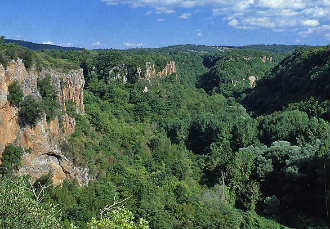 CAIOLO