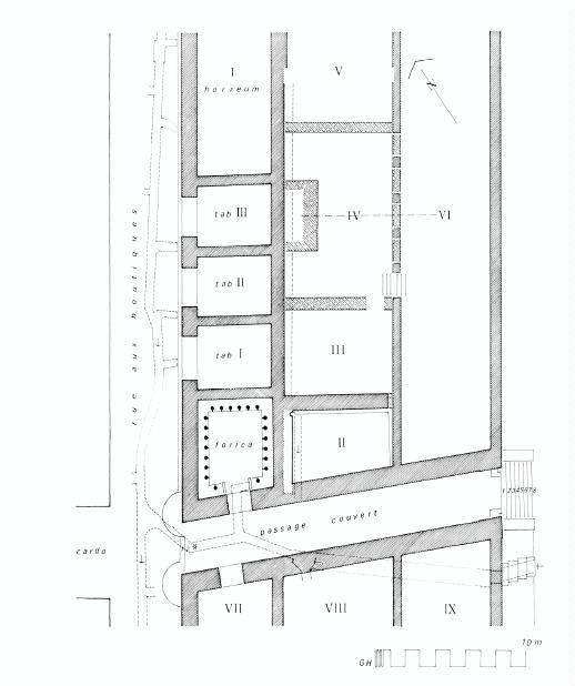 Insula I