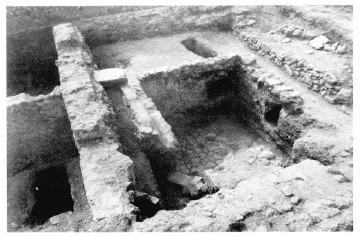 Poggio Moscini, Insula II