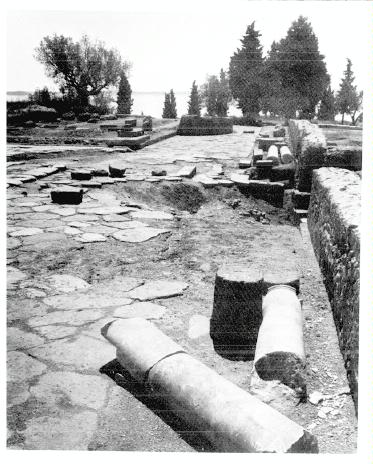 decumanus a ovest del Foro