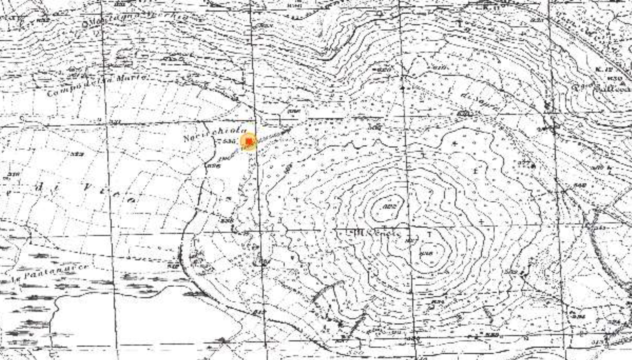NOCICCHIOLA
