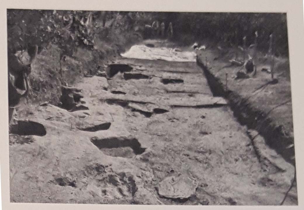 Poggio Sermugnano