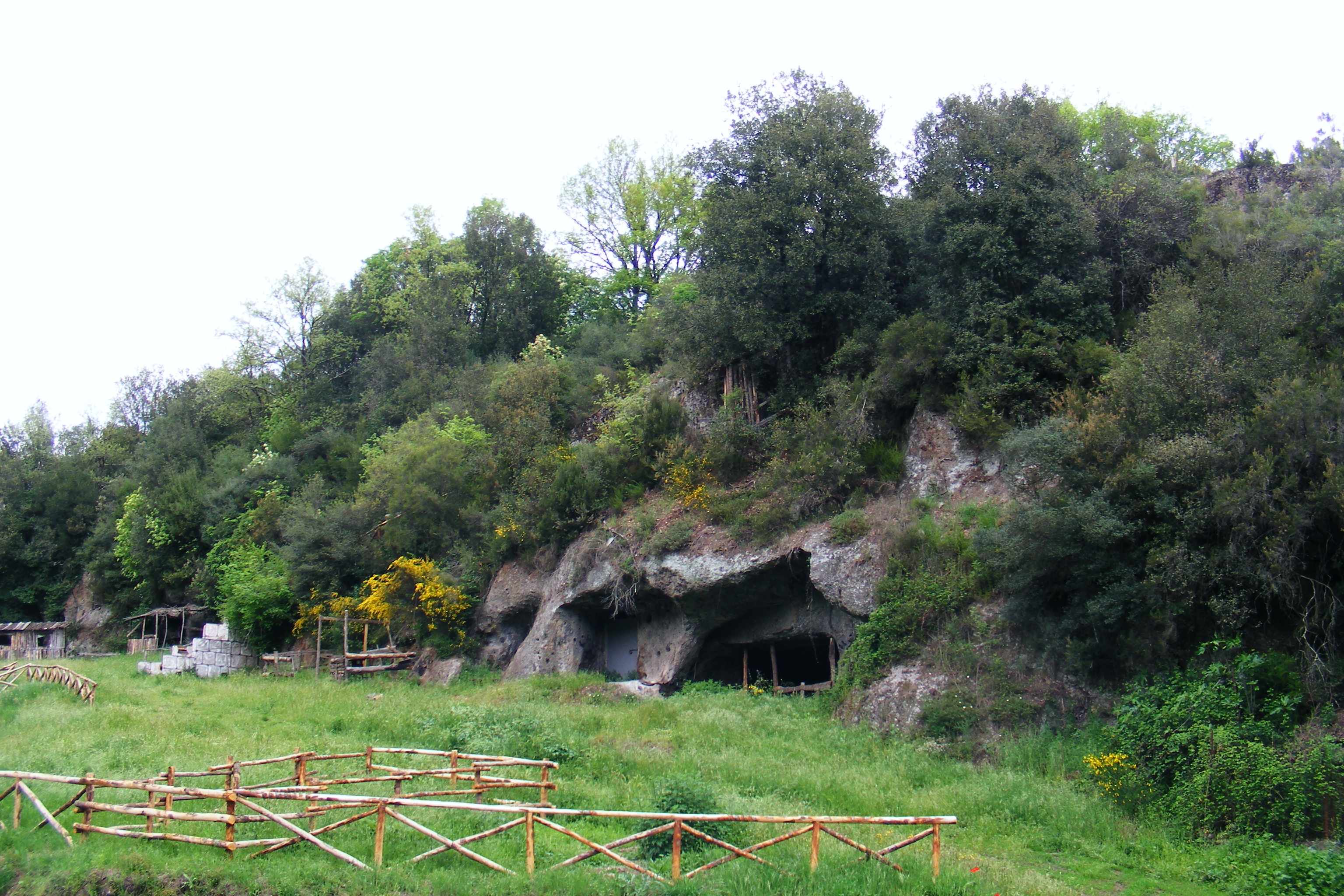 della Cannara