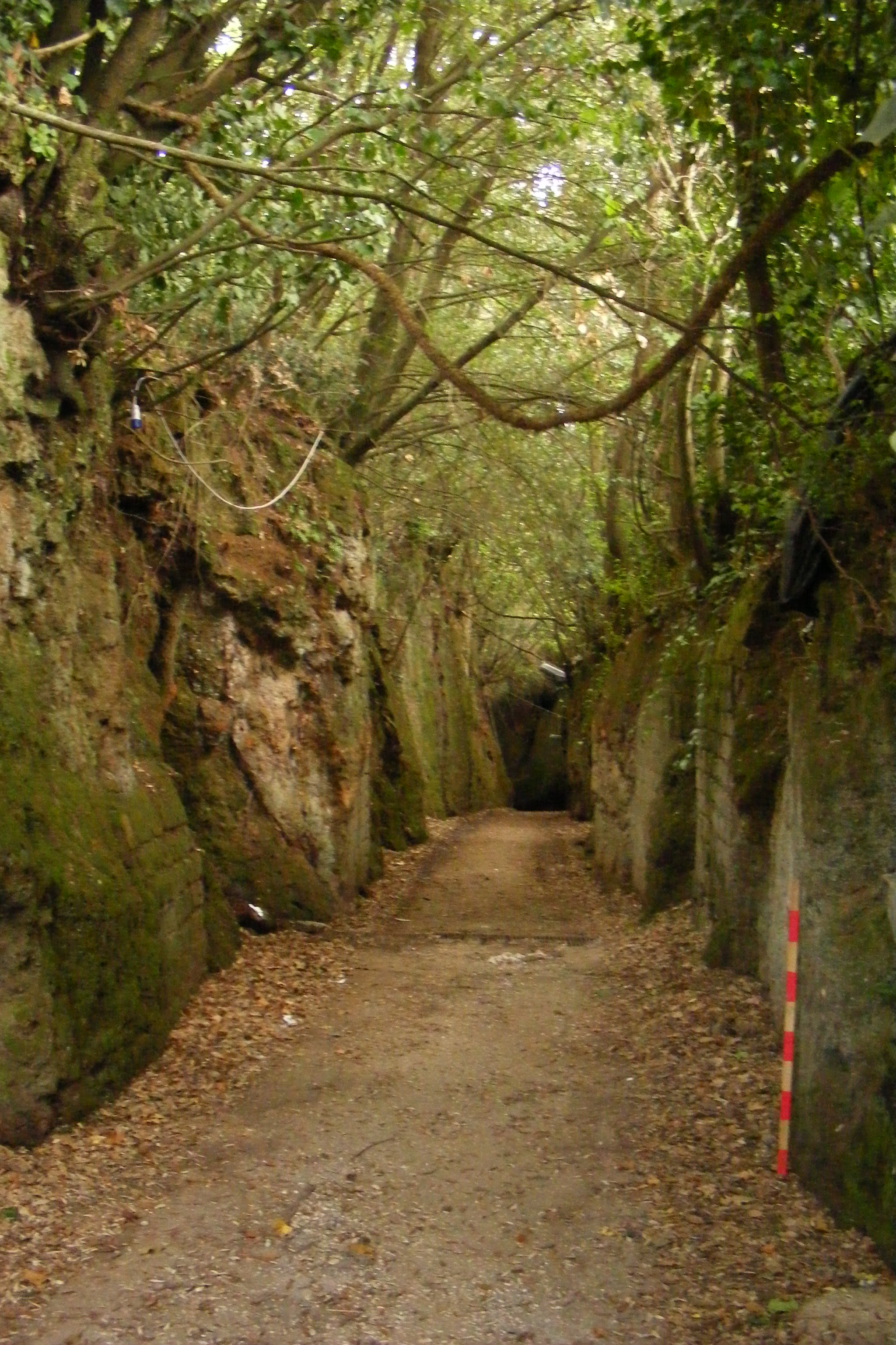 via Cava di S. Egidio