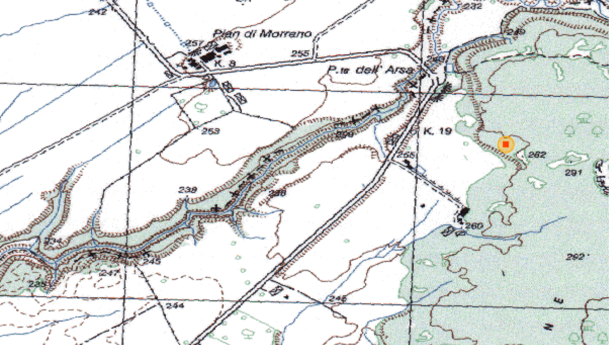 MANDRIA DELL'ARSA