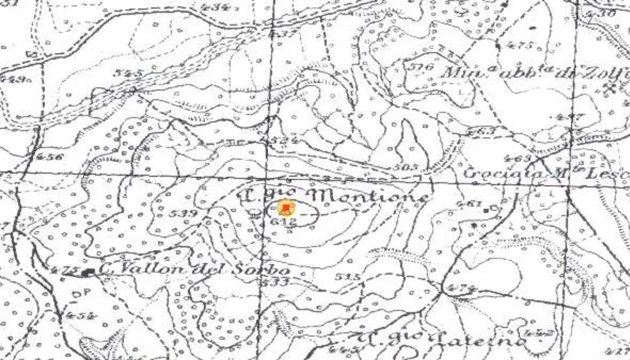 POGGIO MONTIONE