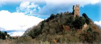 TORRE STROPPA