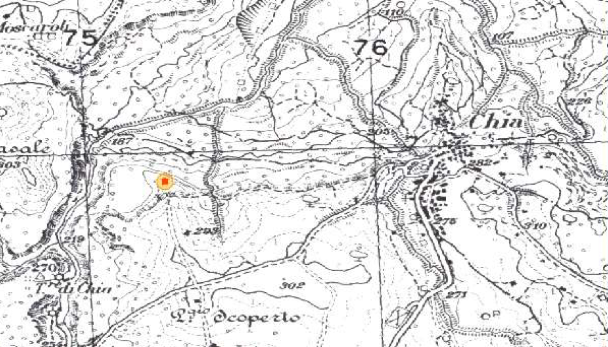 SELVA DI CHIA