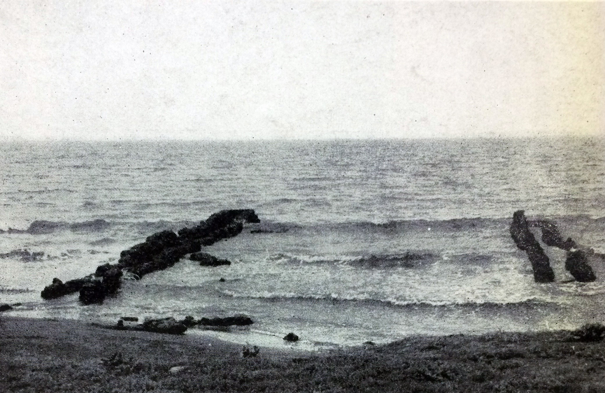 MARTANUM