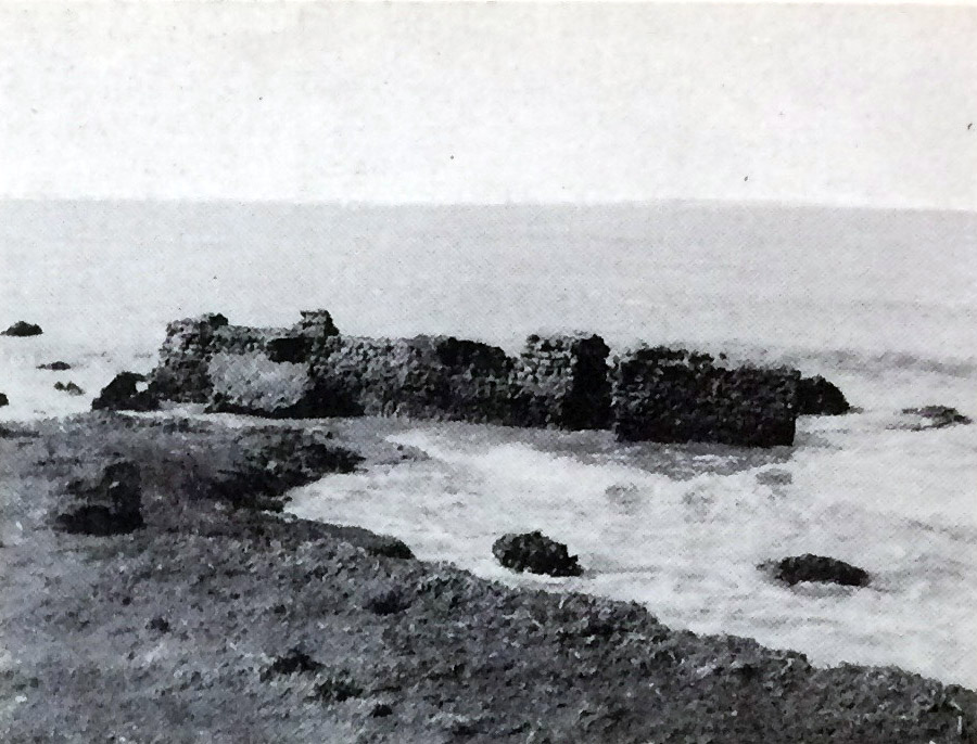 MARTANUM
