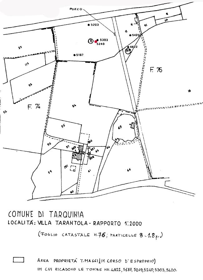 TOMBA n. 5202