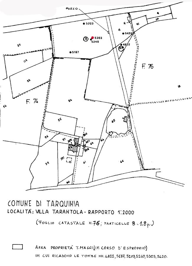 TOMBA n. 5303