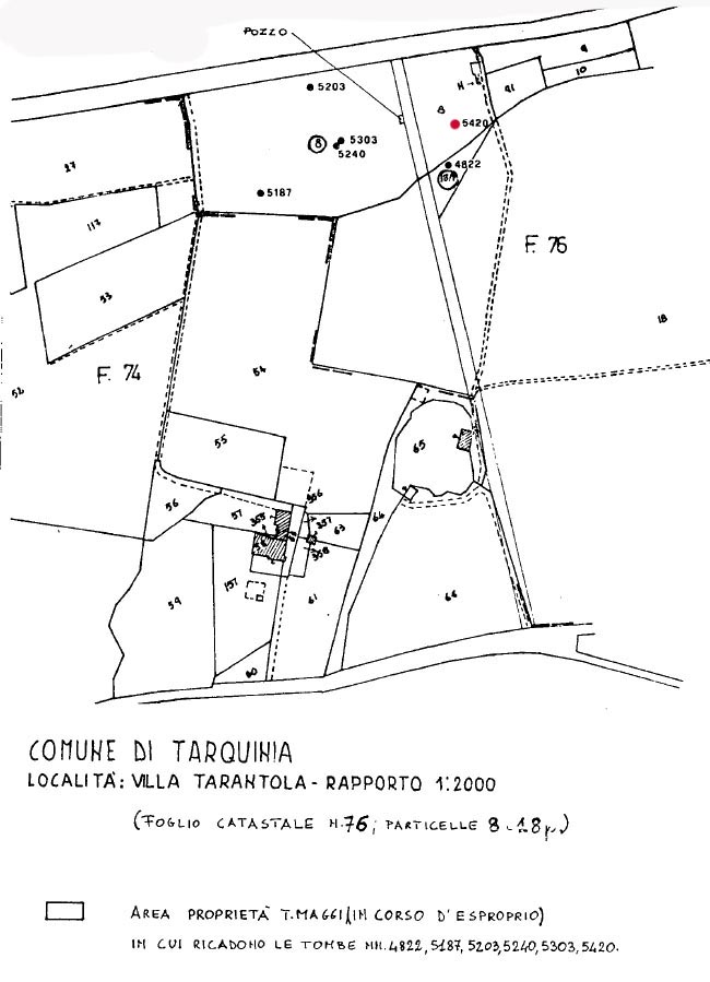 TOMBA n. 5420