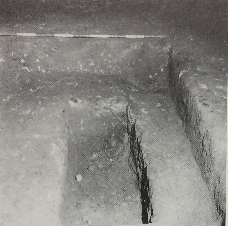 TOMBE n. 842 e 1593