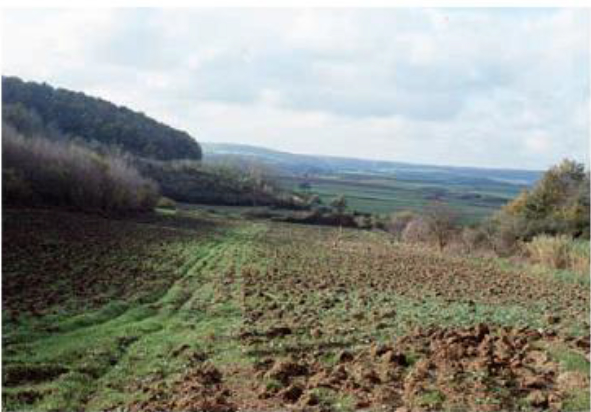 MONTE SALIETTE
