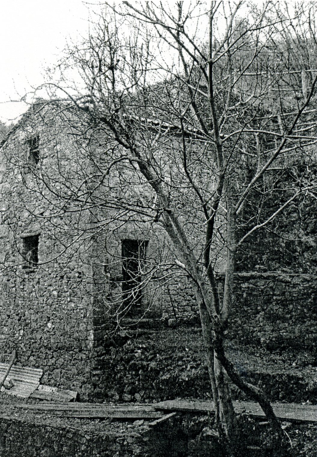 Antico Molino a turbina in località Belpiano