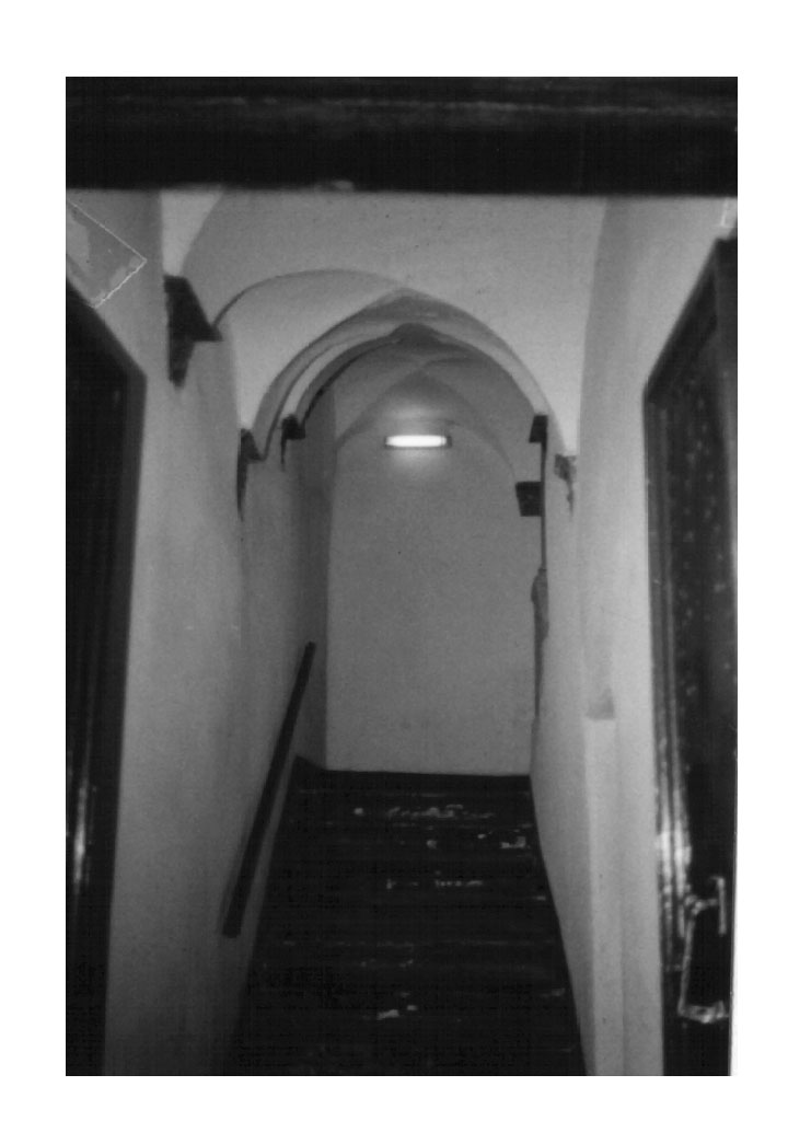 Atrio con volta in vico dei Caprettari 3