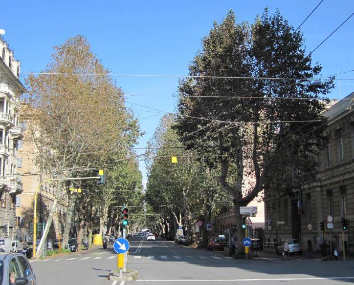 Corso Torino