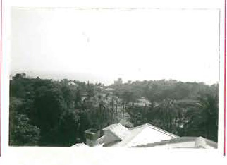 Parco di Villa Carrara